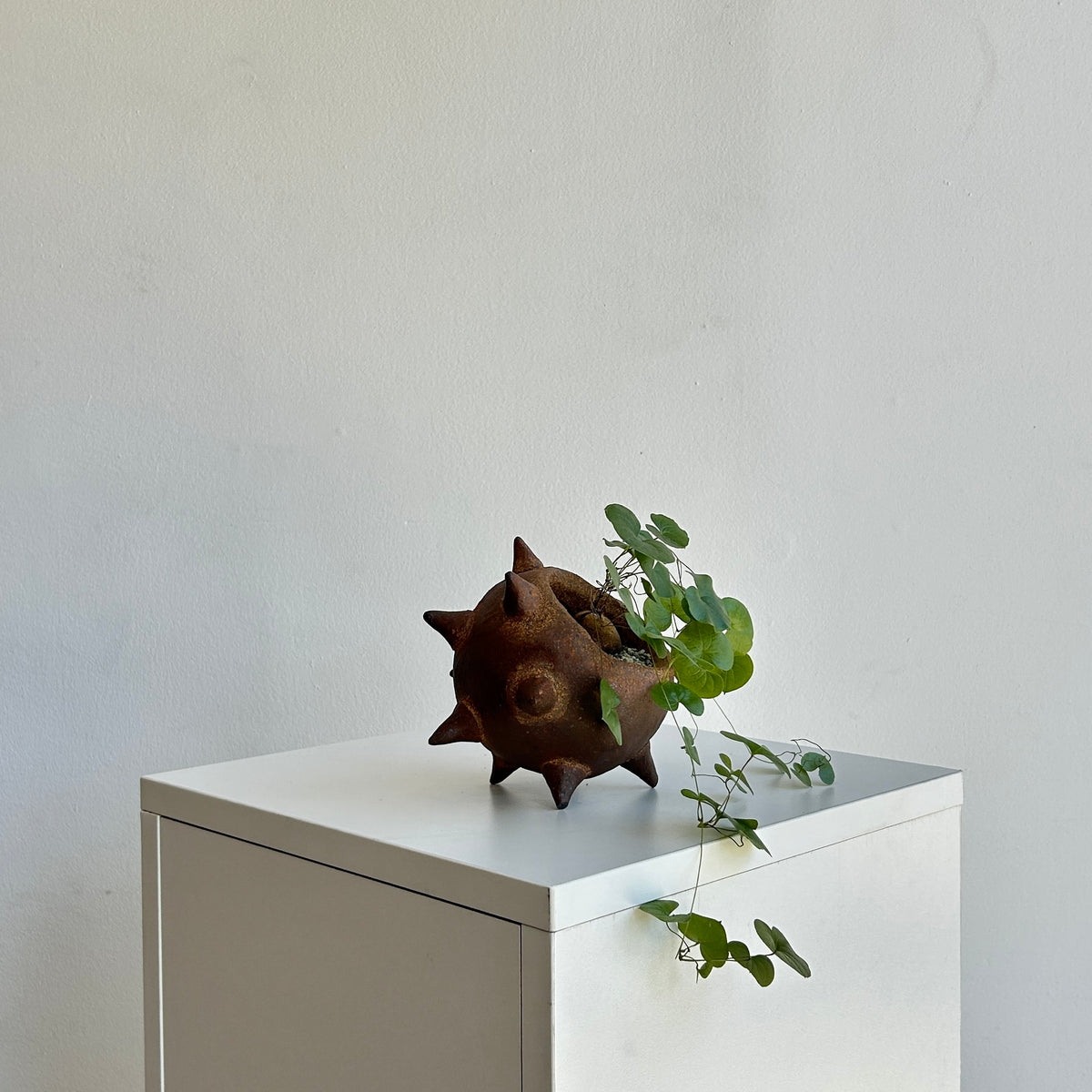 MACE PLANTER