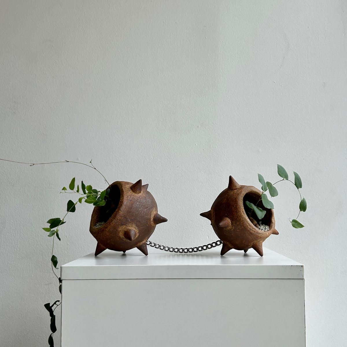 DOUBLE MACE PLANTER