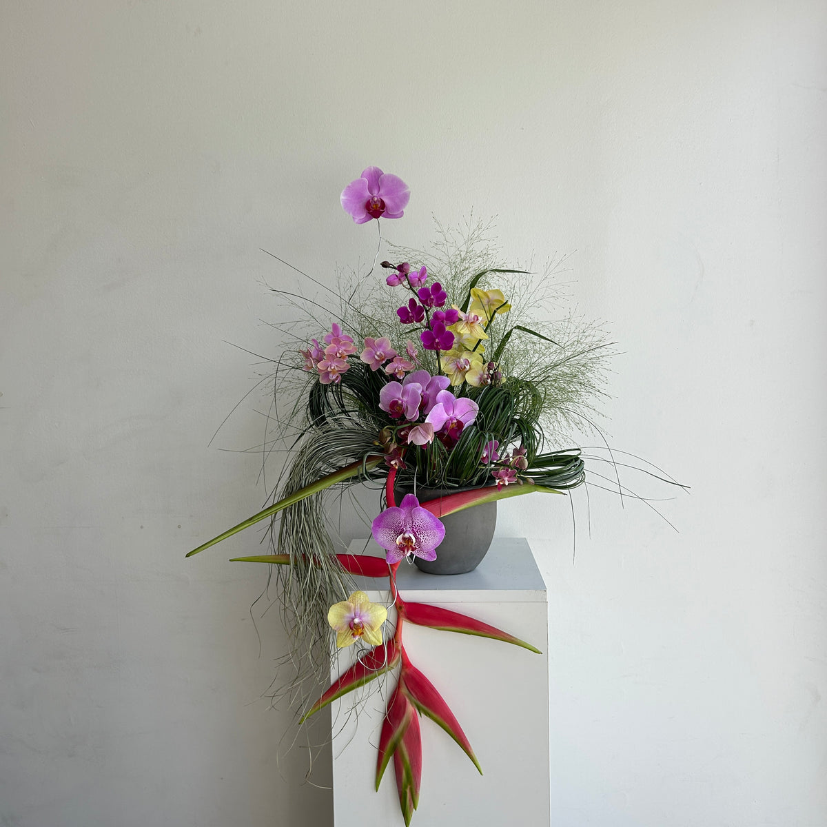 MEDIUM ARRANGEMENT
